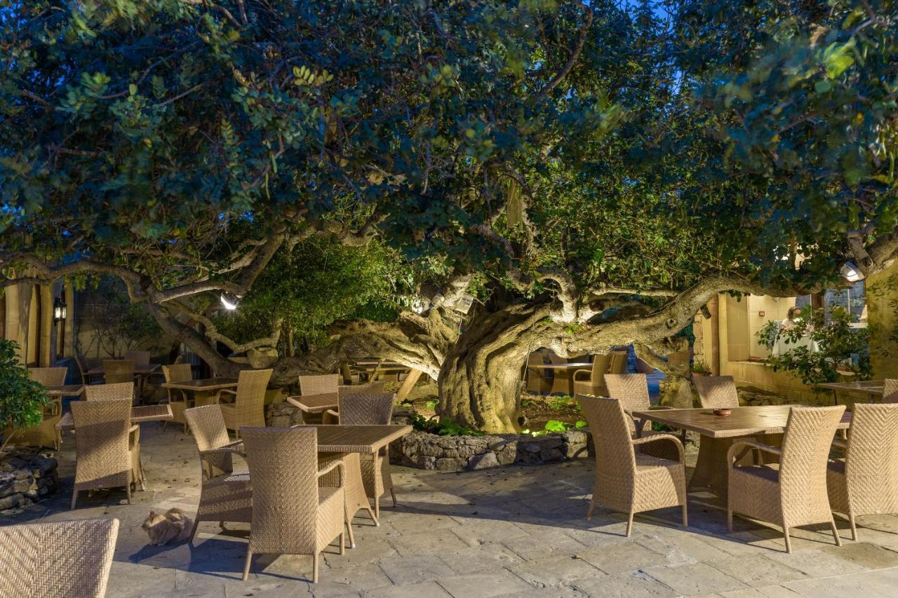 Hotel Ta' Cenc & Spa Sannat Exterior photo The Banyan Tree at the Four Seasons Resort